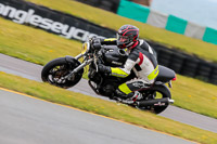 PJ-Motorsport-2019;anglesey-no-limits-trackday;anglesey-photographs;anglesey-trackday-photographs;enduro-digital-images;event-digital-images;eventdigitalimages;no-limits-trackdays;peter-wileman-photography;racing-digital-images;trac-mon;trackday-digital-images;trackday-photos;ty-croes
